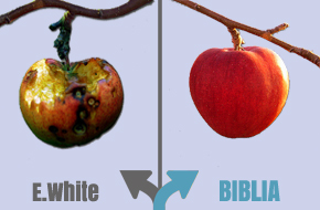 Niektóre nauki Ellen White wobec Pisma Świętego